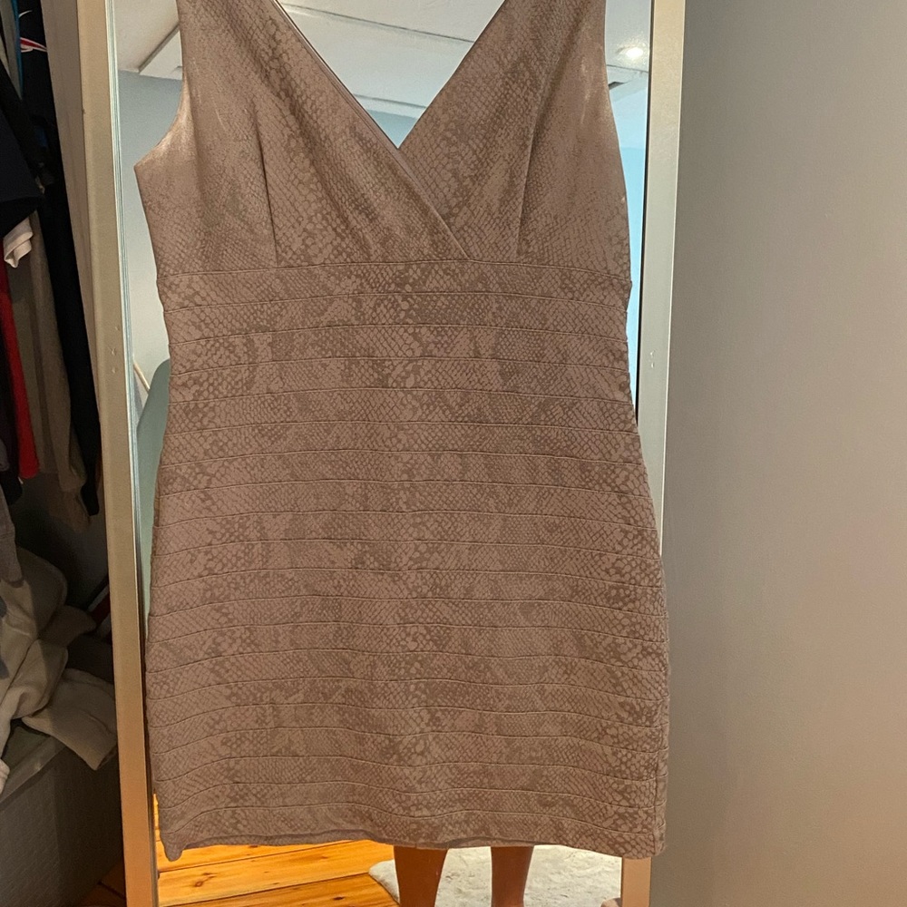 Express cocktail dress